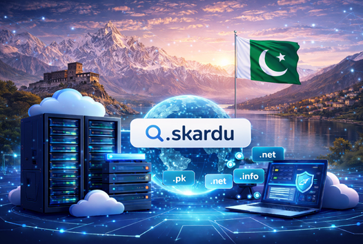 Domain and Hosting Skardu Pakistan